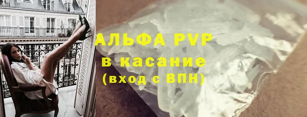 прущие грибы Протвино
