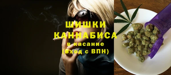 прущие грибы Протвино