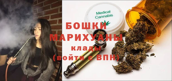 прущие грибы Протвино