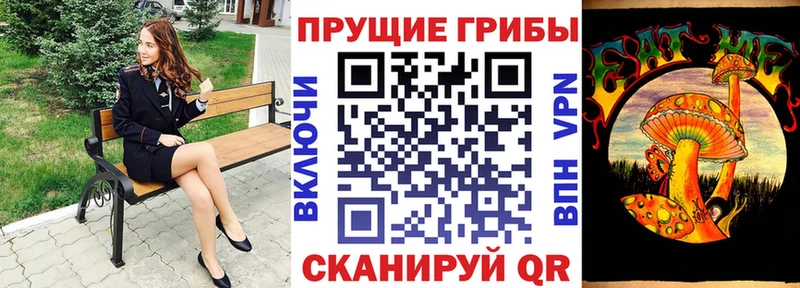 площадка клад  Ак-Довурак  Галлюциногенные грибы Psilocybine cubensis 